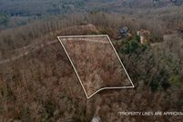 Undeveloped Land for sale in Fannin County, Georgia