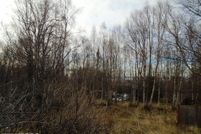 Undeveloped Land for sale in Anchorage Borough, Alaska