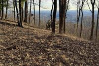 Undeveloped Land for sale in Henderson County, North Carolina