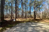 Undeveloped Land for sale in McIntosh County, Georgia