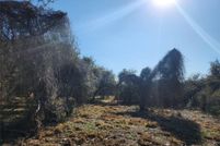 Undeveloped Land for sale in San Patricio County, Texas