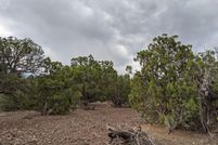 Undeveloped Land for sale in Apache County, Arizona