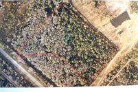 Undeveloped Land for sale in Volusia County, Florida