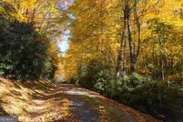 Undeveloped Land for sale in Rabun County, Georgia