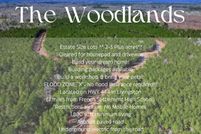 Undeveloped Land for sale in Livingston Parish, Louisiana