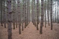 Property for sale in Adams County, Wisconsin