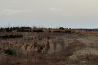 Property for sale in Pike County, Indiana