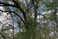 Property for sale in Marion County, Florida