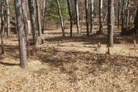 Undeveloped Land for sale in Adams County, Wisconsin
