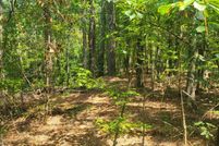Undeveloped Land for sale in Columbia County, Georgia
