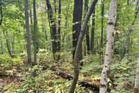 Property for sale in Morrison County, Minnesota