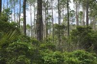 Property for sale in Franklin County, Florida