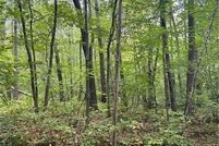Property for sale in Morrison County, Minnesota