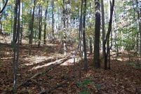 Undeveloped Land for sale in Polk County, North Carolina