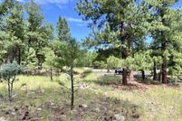 Undeveloped Land for sale in Coconino County, Arizona