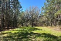Property for sale in Geneva County, Alabama