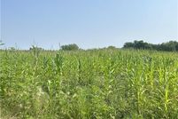 Property for sale in Dakota County, Minnesota