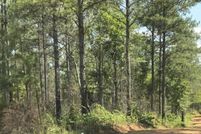 Property for sale in Randolph County, Alabama