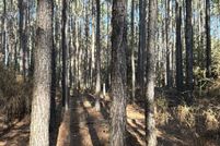 Property for sale in Dallas County, Arkansas