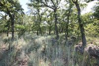 Undeveloped Land for sale in Wise County, Texas