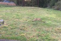 Property for sale in Humboldt County, California