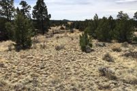 Undeveloped Land for sale in Cibola County, New Mexico