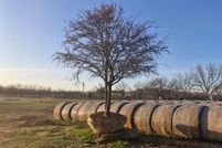 Property for sale in Comanche County, Texas