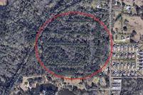 Undeveloped Land for sale in Tangipahoa Parish, Louisiana