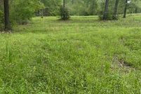 Undeveloped Land for sale in Sabine Parish, Louisiana