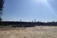 Undeveloped Land for sale in Union Parish, Louisiana