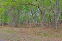 Undeveloped Land for sale in Calhoun County, South Carolina
