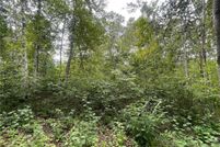 Undeveloped Land for sale in Crow Wing County, Minnesota