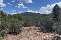 Undeveloped Land for sale in Apache County, Arizona