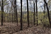 Undeveloped Land for sale in Gordon County, Georgia
