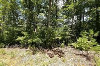 Undeveloped Land for sale in Towns County, Georgia