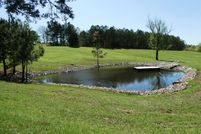 Undeveloped Land for sale in Winston County, Alabama