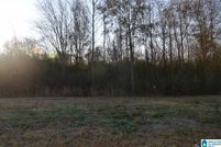 Undeveloped Land for sale in Jefferson County, Alabama