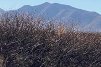 Property for sale in Cochise County, Arizona