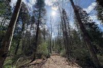 Undeveloped Land for sale in Roscommon County, Michigan