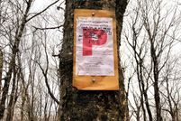 Property for sale in Windham County, Vermont