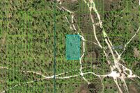 Undeveloped Land for sale in Polk County, Florida