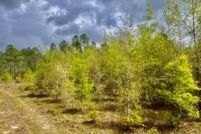 Property for sale in Dixie County, Florida