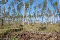 Undeveloped Land for sale in Monroe County, Georgia