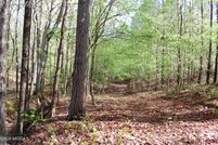 Undeveloped Land for sale in Monroe County, Georgia