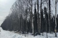 Property for sale in Matanuska-Susitna Borough, Alaska