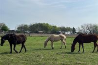 Property for sale in Hunt County, Texas