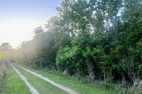 Property for sale in Mobile County, Alabama