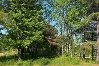 Undeveloped Land for sale in Walker County, Alabama