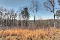 Undeveloped Land for sale in Gilmer County, Georgia