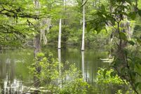 Property for sale in Seminole County, Georgia